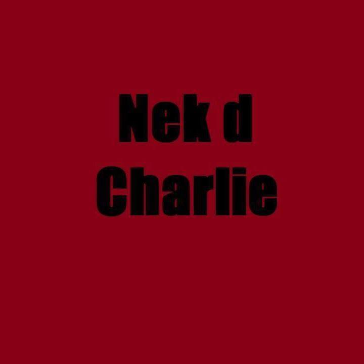 La kabylie est solidaire avec Charlie Hebdo 135