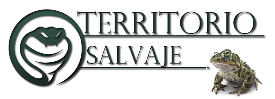 Territorio Salvaje - Portal Logo_p13