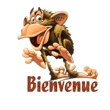 présentation de Reymbaut Bienv_38