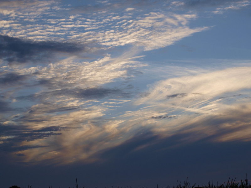 Les nuages. Mise à jour 03.02.2015 1210