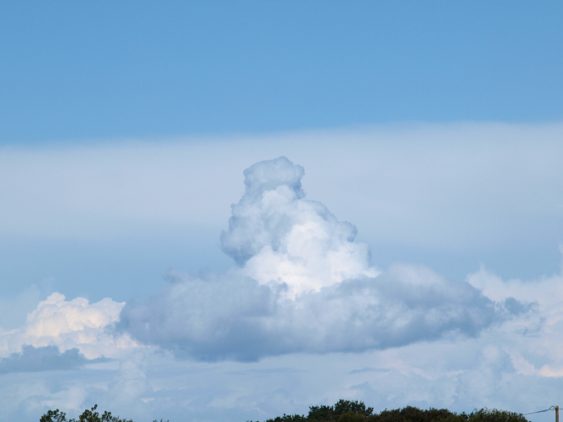 Les nuages. Mise à jour 03.02.2015 Cumulu13