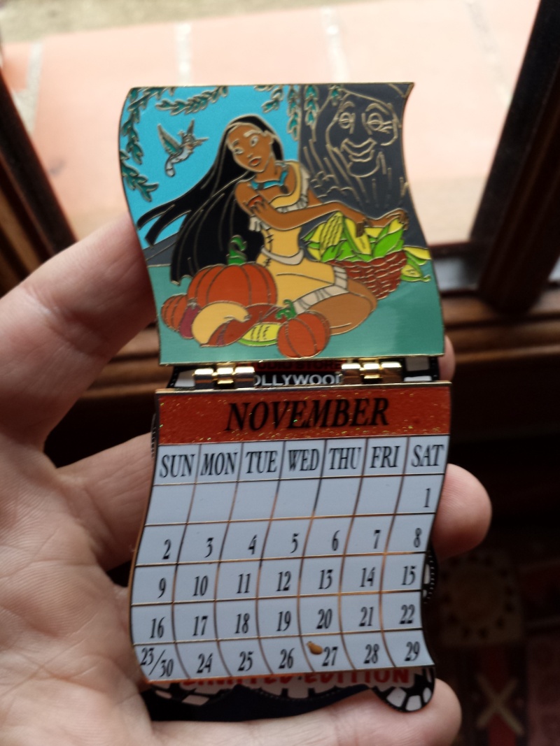 Le Pin Trading à Disneyland Paris - Page 15 20150120