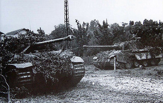 Panzerkampfwagen V Panther ausf. G (Sd.Kfz 171) ( 1944 ) 81066810