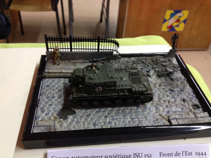 ONET LE CHATEAU (12 AVEYRON) Compte rendu de l expo du 7 et 8 mars 2015 ... Img_1420