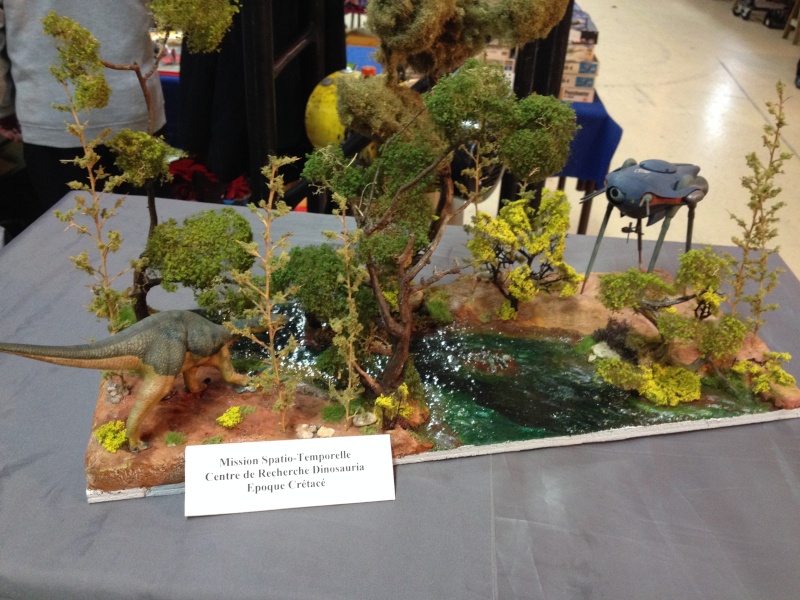 ONET LE CHATEAU (12 AVEYRON) Compte rendu de l expo du 7 et 8 mars 2015 ... Img_1423