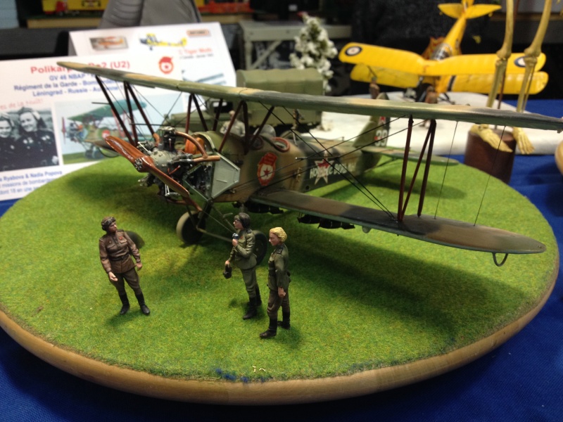 ONET LE CHATEAU (12 AVEYRON) Compte rendu de l expo du 7 et 8 mars 2015 ... Img_1425