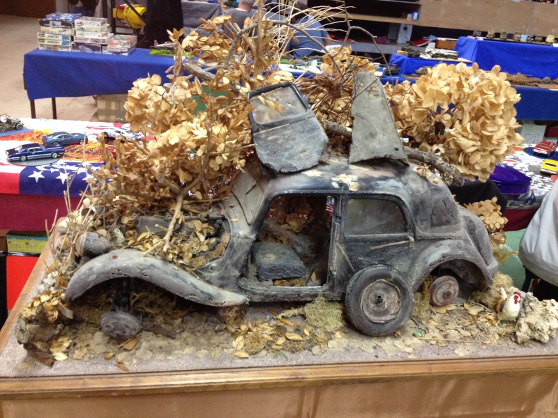 ONET LE CHATEAU (12 AVEYRON) Compte rendu de l expo du 7 et 8 mars 2015 ... Img_1429