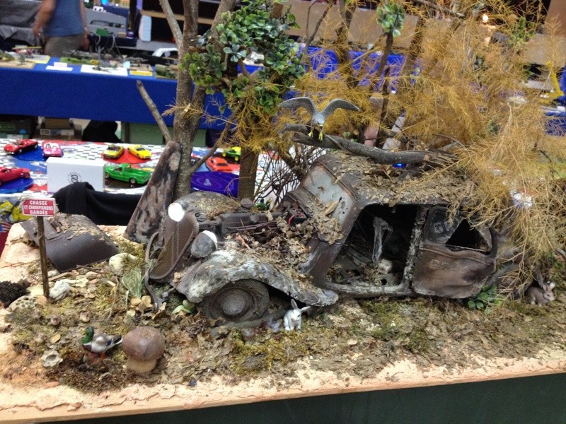 ONET LE CHATEAU (12 AVEYRON) Compte rendu de l expo du 7 et 8 mars 2015 ... Img_1430
