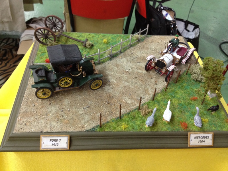 ONET LE CHATEAU (12 AVEYRON) Compte rendu de l expo du 7 et 8 mars 2015 ... Img_1433