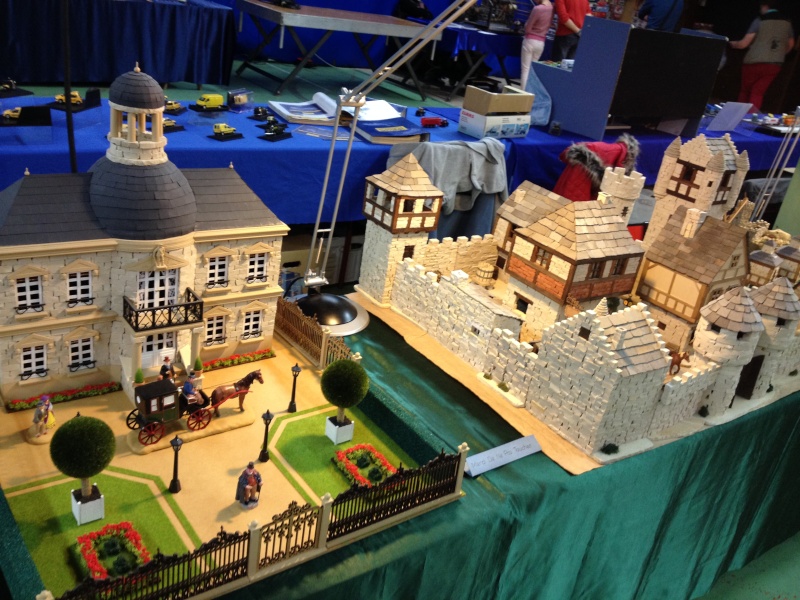 ONET LE CHATEAU (12 AVEYRON) Compte rendu de l expo du 7 et 8 mars 2015 ... Img_1436