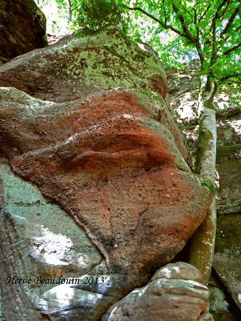 Sortie Roches d'Olima, ouvrages de 1870 et tourbière de la Comtesse Dsc06410