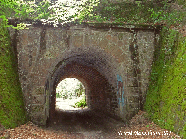 Sortie Roches d'Olima, ouvrages de 1870 et tourbière de la Comtesse Dsc06510