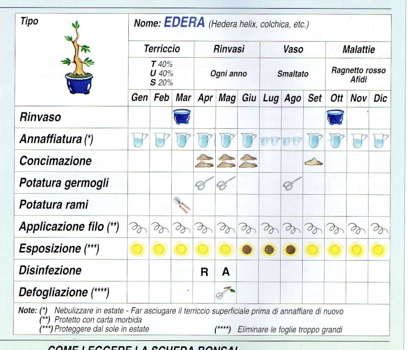 prove con scanner  Edera12