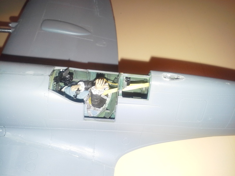 Un nose art sur un Spitfire!!!!! - Page 2 20150210