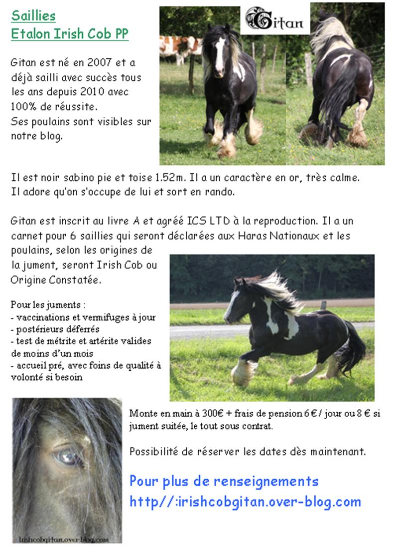 Gitan étalon agréé à la repro en 2010 Pub_fr12