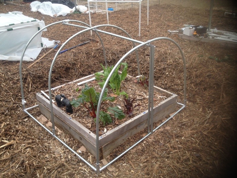 The Winter Journey and greenhouse plastic - Page 7 Img_0721
