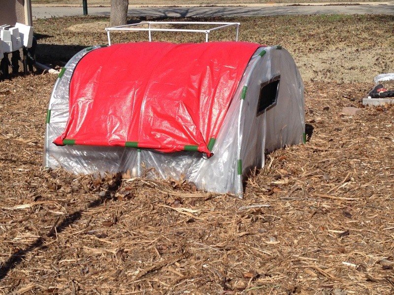 greenhouse -  The Winter Journey and greenhouse plastic  - Page 7 Img_0725