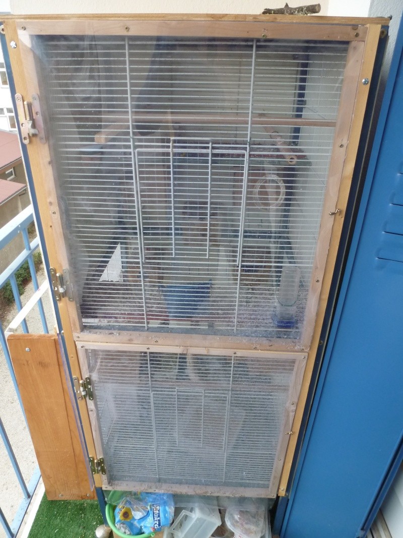 ma cage sur balcon P1050514