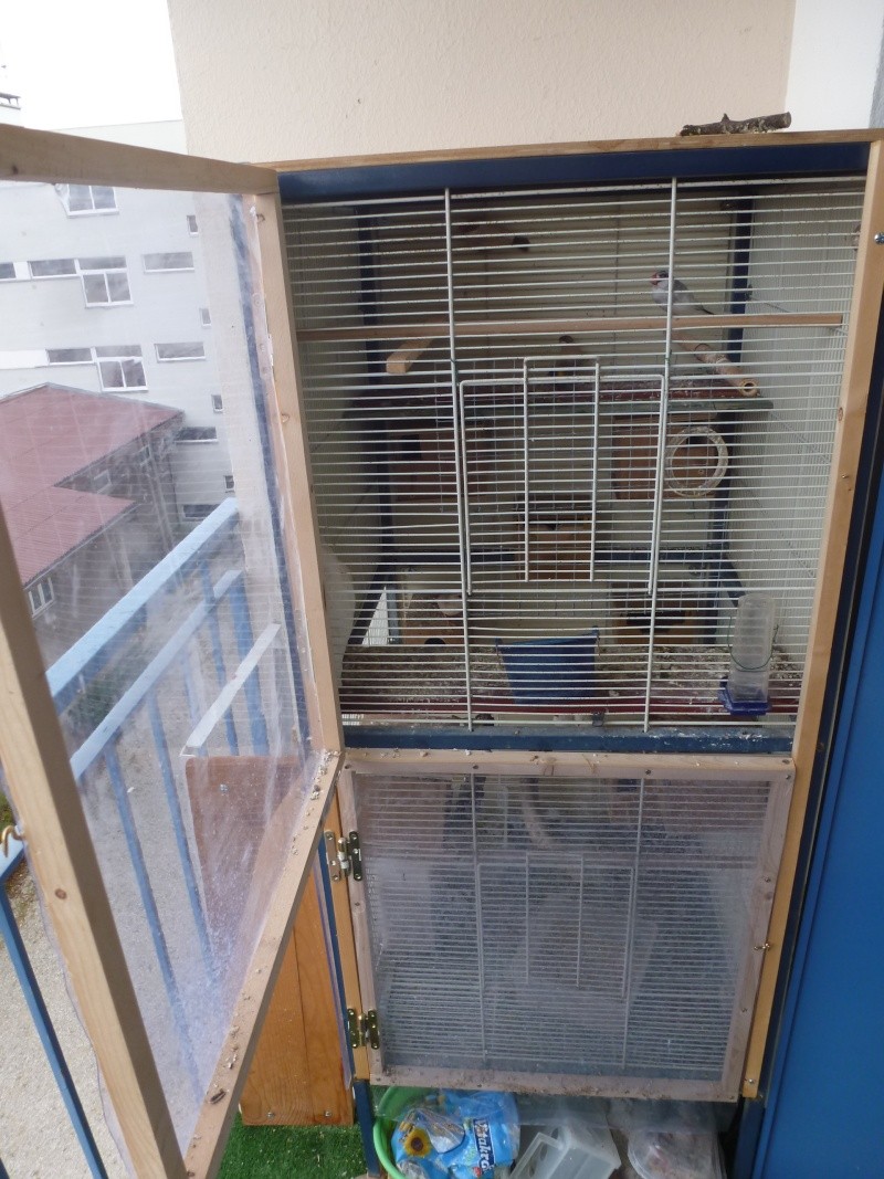 ma cage sur balcon P1050515