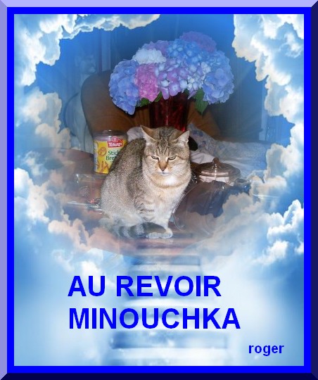 minouschka,, le cadeau d anniversaire  Minous11