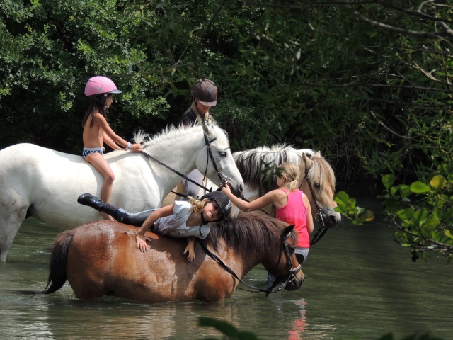 petite baignade !! 00310