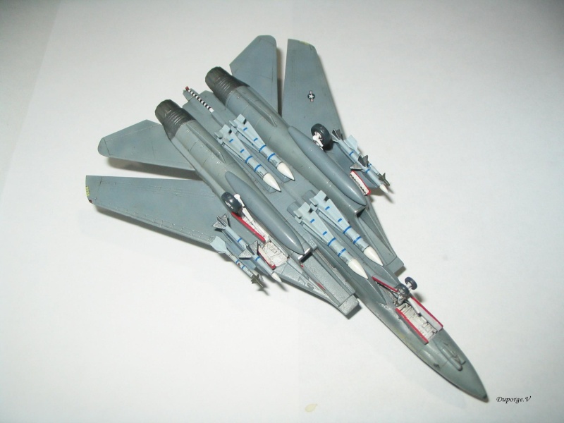 F-14D Super Tomcat 1/144 Img_0019