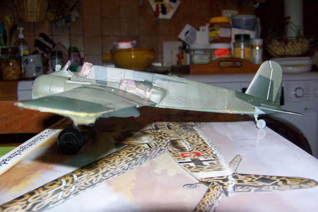 1/48 Henschel Hs129 B2 Lt Lazar Munteanu Hasegawa - Page 2 100_9044