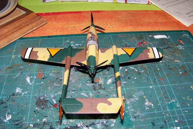 1/48 Fokker D XXIII R.S Model - Page 2 100_9068