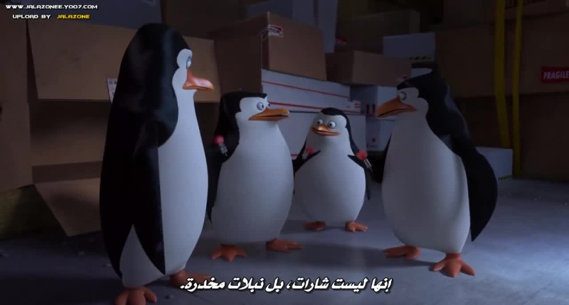 حصريا فيلم الاينمي والمغامرة والعائلي المنتظر Penguins of Madagascar 2014 720p BluRay مترجم بنسحة البلوري 537