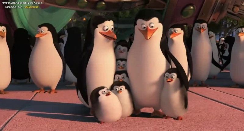 حصريا فيلم الاينمي والمغامرة والعائلي المنتظر Penguins of Madagascar 2014 720p BluRay مترجم بنسحة البلوري 827