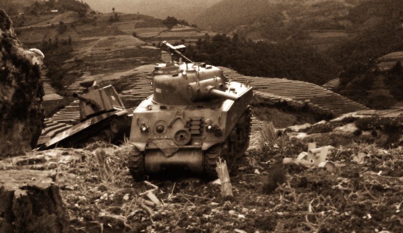 Mes M4A3 (105) VVSS Shermans- [Heng Long] - [1/16]  Sherma10