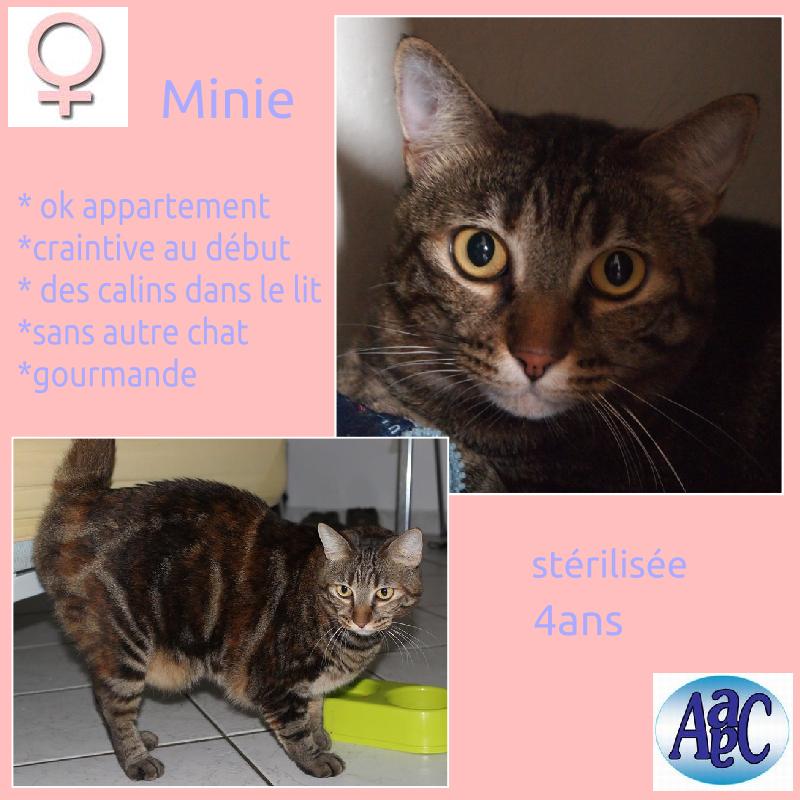 MINIE - URGENT RECHERCHE FA ou mieux adoptant Minie14