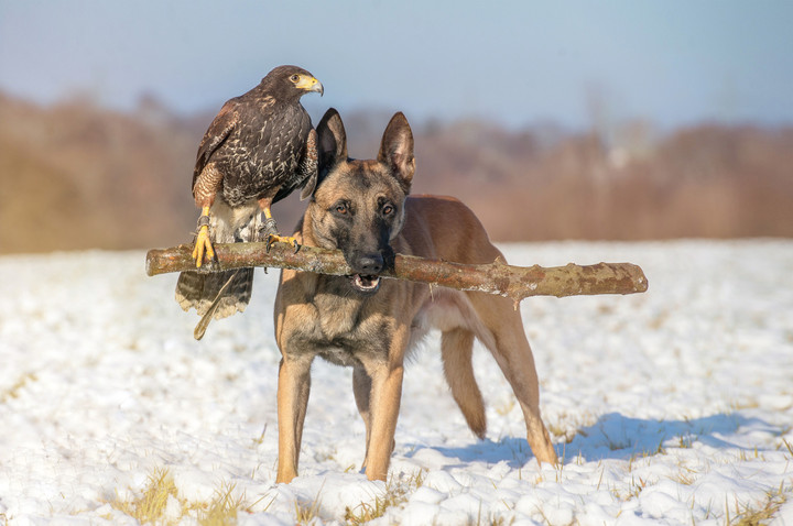 Tanja Brandt Image10