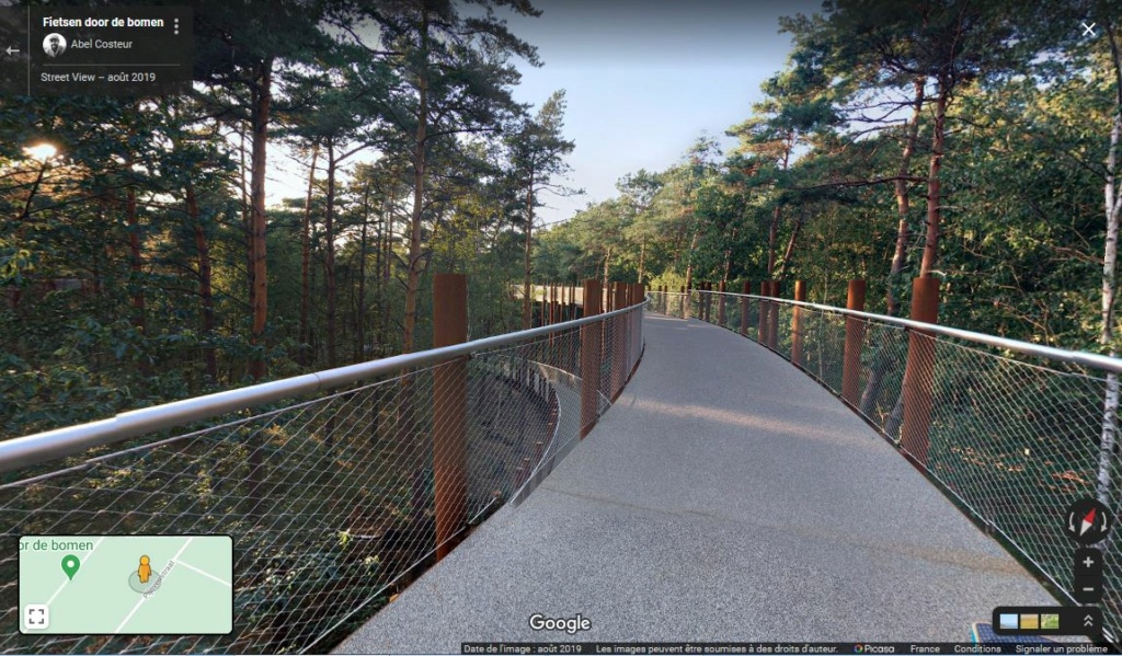 Une piste pour "pédaler dans les arbres" - Forêt de Bosland - Belgique Z414