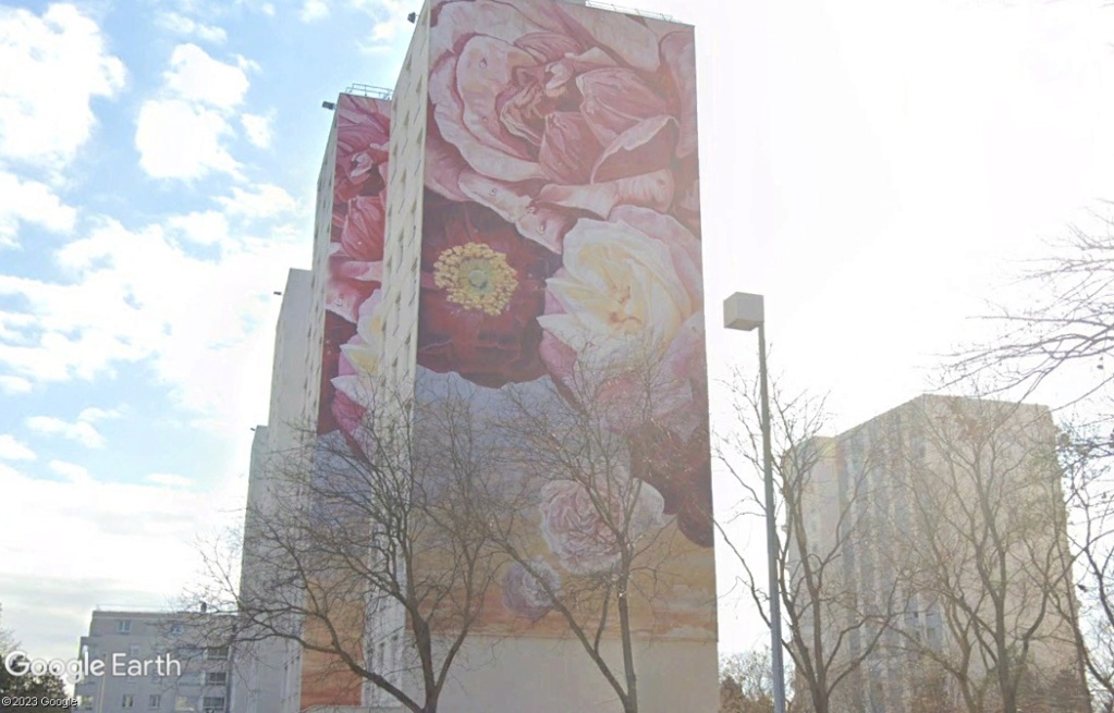 STREET VIEW : les fresques murales en France - Page 29 Z5419