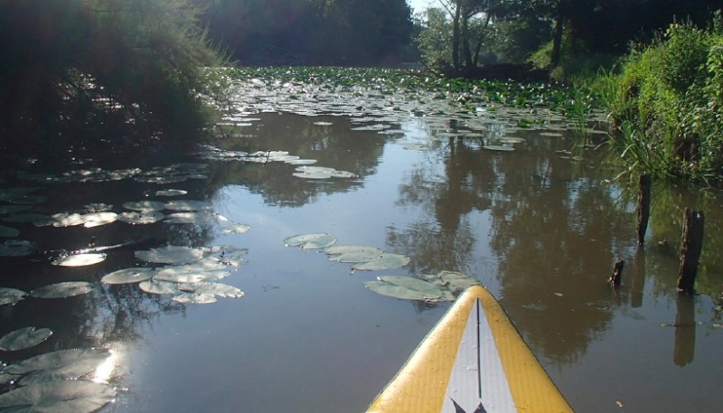 Sessions et sorties en Pays de Loire Captur21