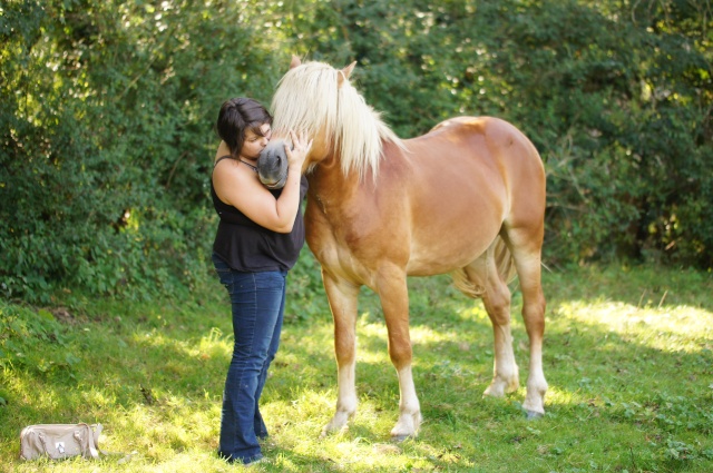 (dept 71) CARNAC, haflinger OC, Sauvée par bertille G. (Janvier 2014) - Page 12 Dsc02412