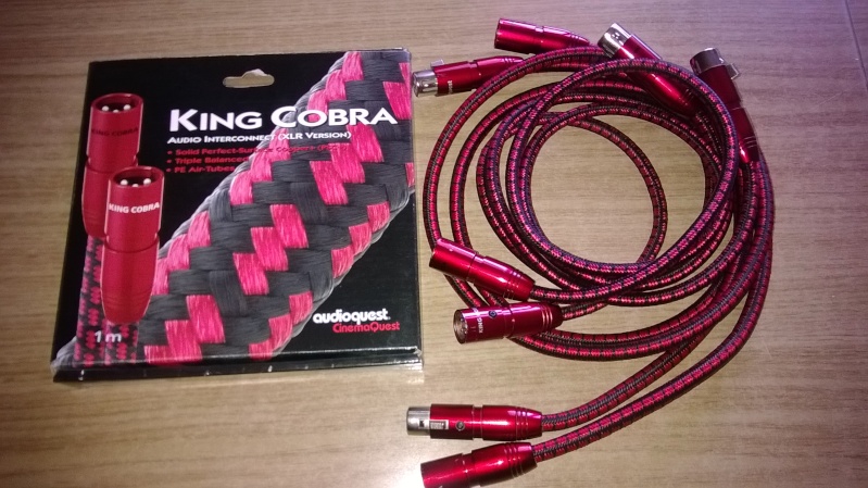 ( UD ) Audioquest king Cobra xlr Wp_20149
