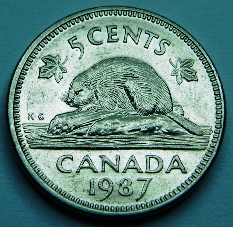 1987 - Double Tête du Castor & Coin Décalé ANA (Double Beaver Head and ANA) Dscf0413