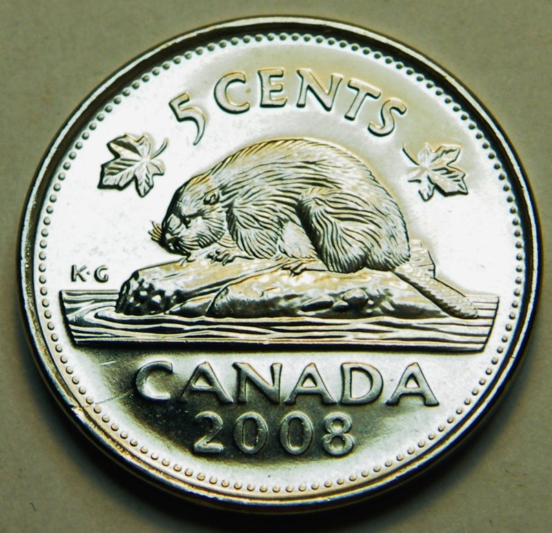 2008 - Coin Obturé, fourrure écrasé au Ventre du Castor (Filled Die) Dscf3411