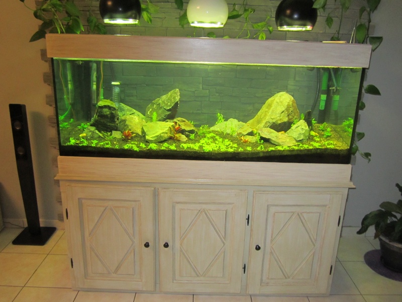 Réfection de mon aquarium Img_0510