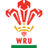 6N Round 2: Scotland v Wales, 15 February Wales_10