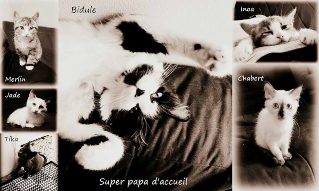 BIDULE (Hairy) et CRAPULE (Sweetie) - Page 6 Img_8610