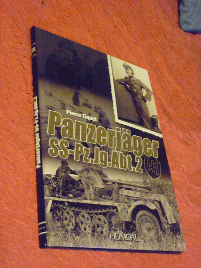 viking vol2 & panzerjager P1020211