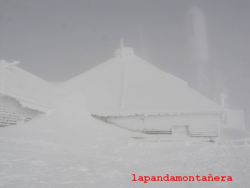 20150207 - GUADARRAMA - LA MALICIOSA desde el Puerto de Navacerrada 03711