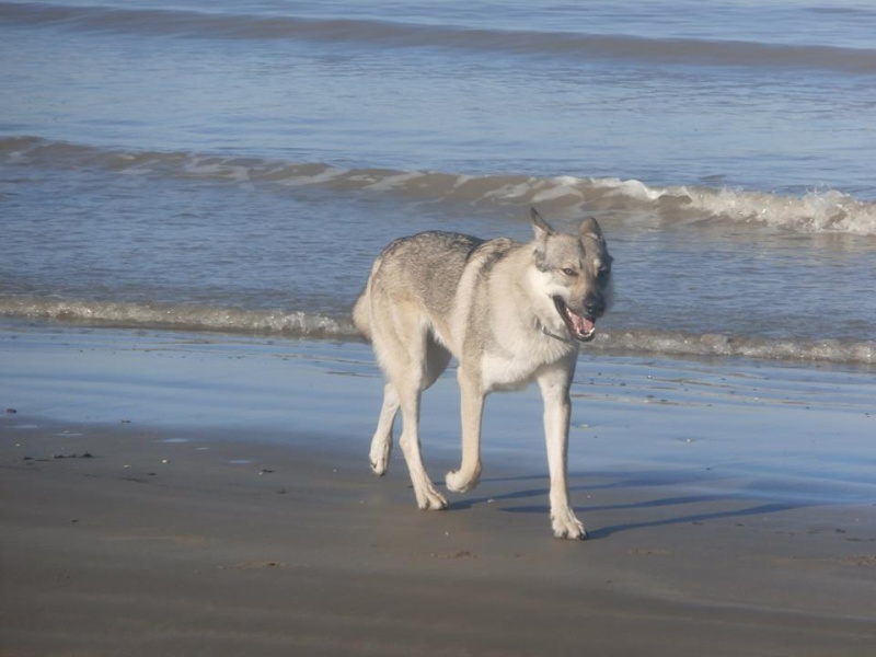 hommage a mon amour I'Yoko ... :(  10629610