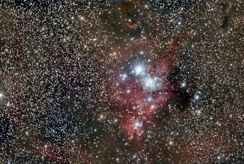NGC 2264, la nébuleuse du cône et toute la région 20150213