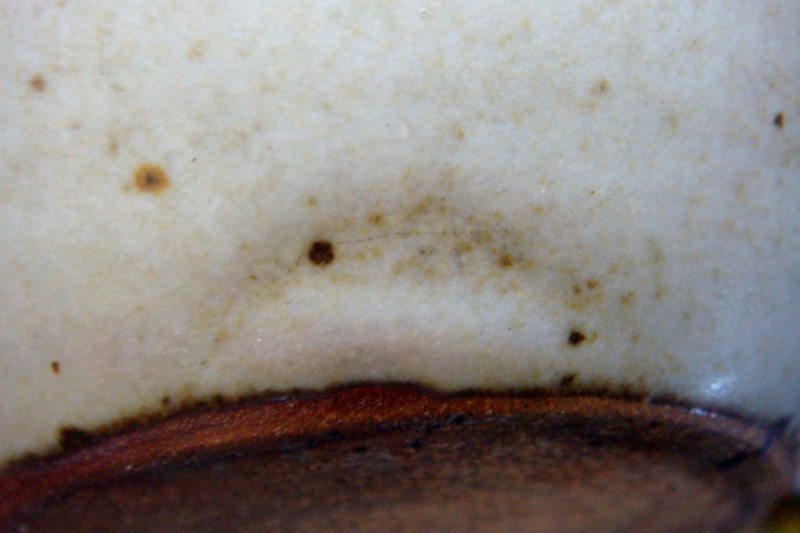 Does anyone recognise this potter's style please? Dsc06429