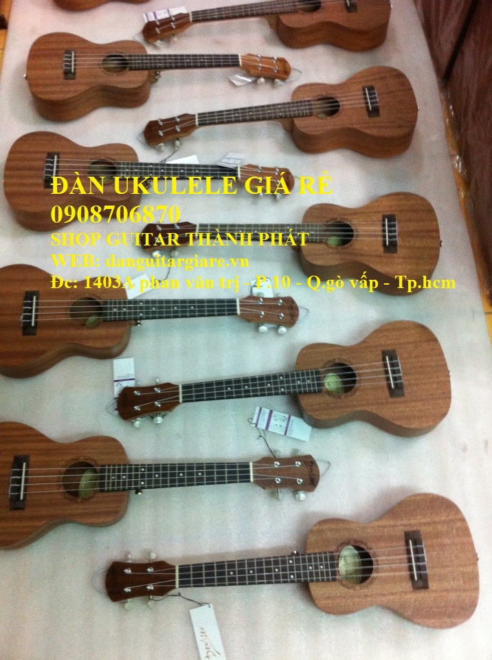 bán đàn ukulele gò vấp giá rẻ Img_2012
