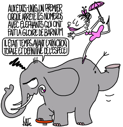 Actu en dessins de presse - Attention: Quelques minutes pour télécharger - Page 2 Cirq1510